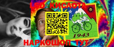 дурь Долгопрудный